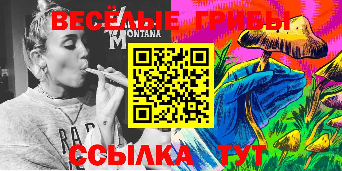 Псилоцибиновые грибы Cubensis  Вход с VPN  Новодвинск 